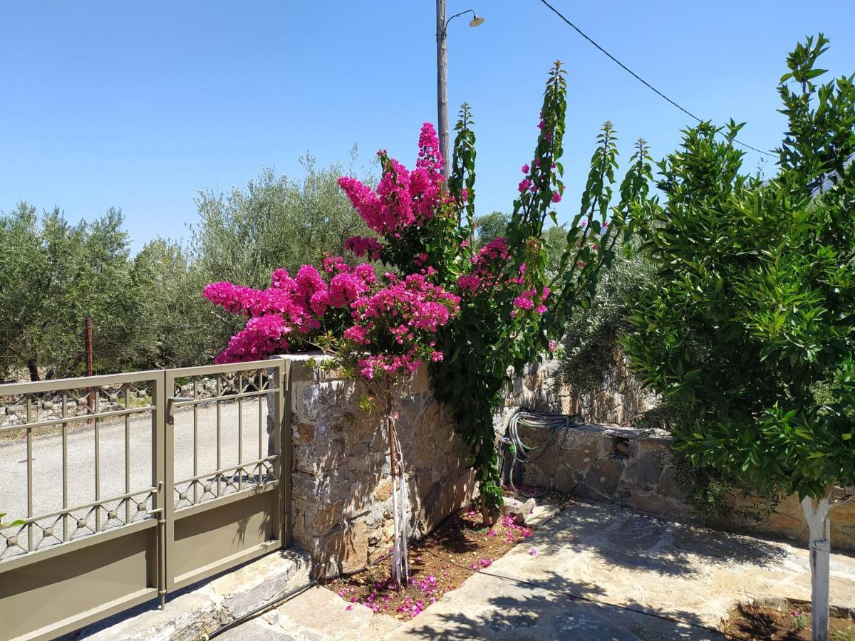 "Villa Kastania" Melidoni, Chania, Crete Kültér fotó