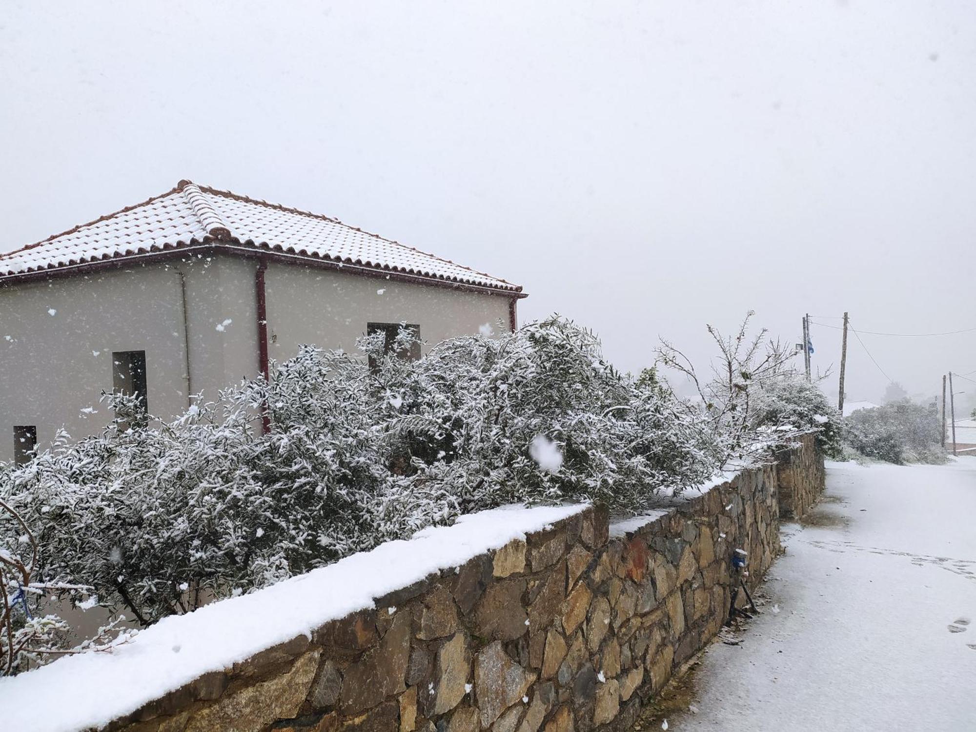 "Villa Kastania" Melidoni, Chania, Crete Kültér fotó